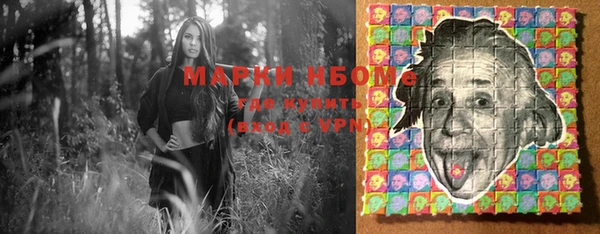 соль ск Надым