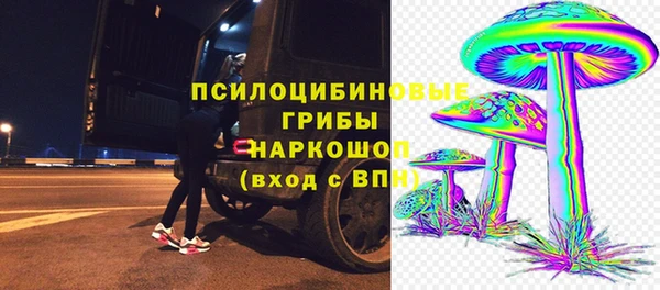 соль ск Надым
