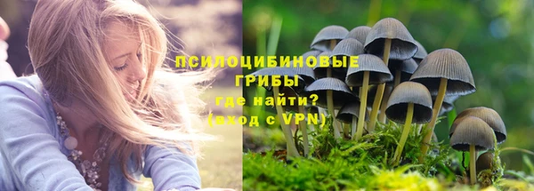 соль ск Надым