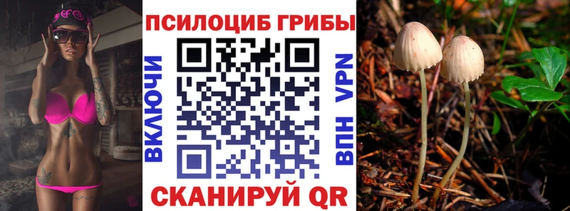 blacksprut как зайти  Рославль  Галлюциногенные грибы ЛСД  сайты даркнета телеграм  даркнет сайт 