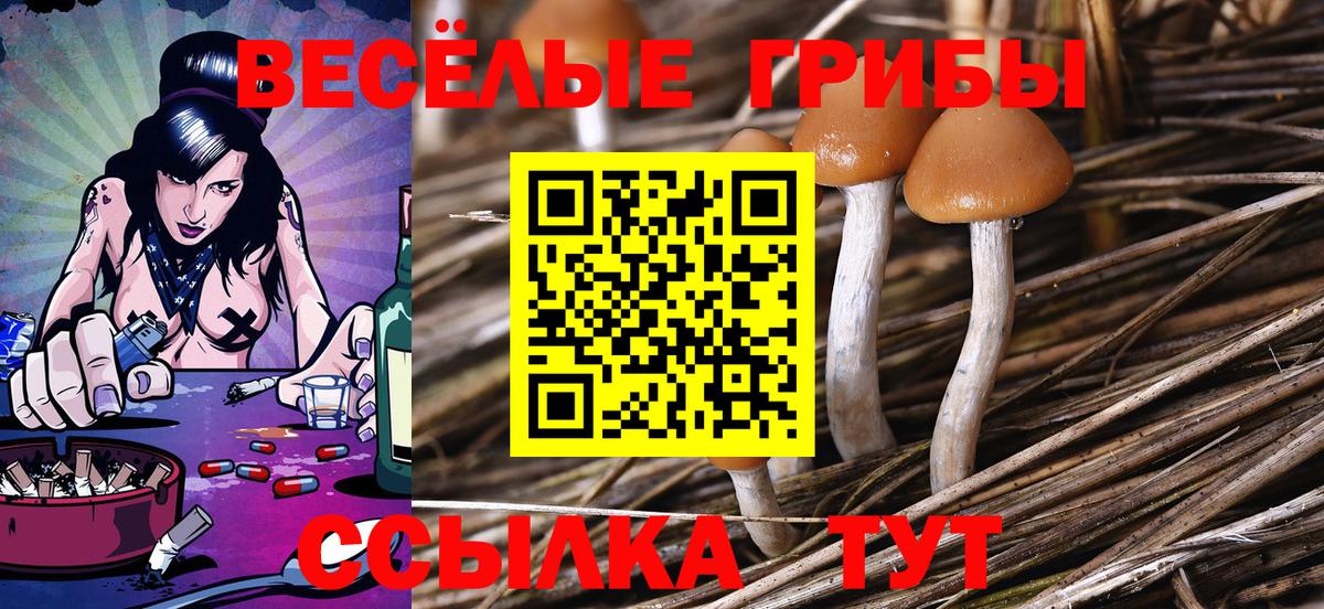 Псилоцибиновые грибы мухоморы  Галлюциногенные грибы Psilocybine cubensis  Рославль  Вход с VPN 