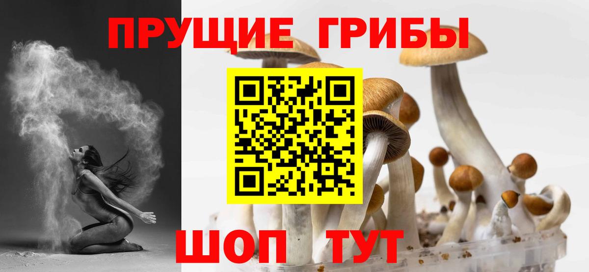 Галлюциногенные грибы GOLDEN TEACHER Рославль